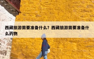 西藏旅游需要准备什么？西藏旅游需要准备什么药物