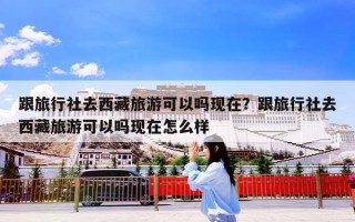 跟旅行社去西藏旅游可以吗现在？跟旅行社去西藏旅游可以吗现在怎么样