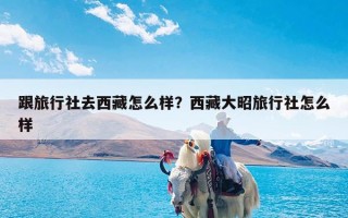 跟旅行社去西藏怎么样？西藏大昭旅行社怎么样