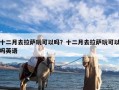 十二月去拉萨玩可以吗？十二月去拉萨玩可以吗英语