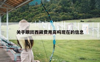 关于跟团西藏费用高吗现在的信息