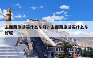 去西藏旅游买什么车好？去西藏旅游买什么车好呢