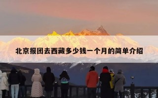 北京报团去西藏多少钱一个月的简单介绍
