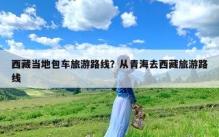 西藏当地包车旅游路线？从青海去西藏旅游路线