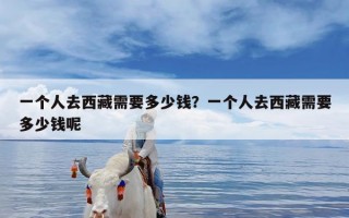 一个人去西藏需要多少钱？一个人去西藏需要多少钱呢
