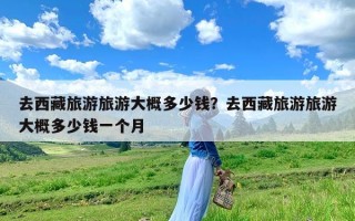 去西藏旅游旅游大概多少钱？去西藏旅游旅游大概多少钱一个月