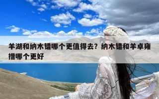 羊湖和纳木错哪个更值得去？纳木错和羊卓雍措哪个更好