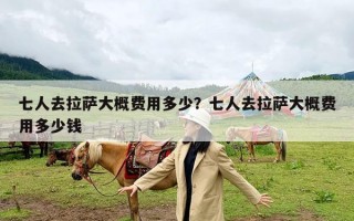 七人去拉萨大概费用多少？七人去拉萨大概费用多少钱