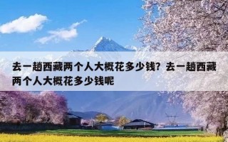 去一趟西藏两个人大概花多少钱？去一趟西藏两个人大概花多少钱呢