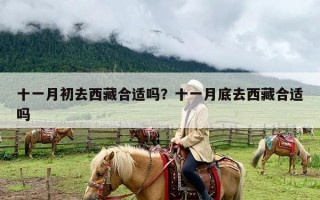 十一月初去西藏合适吗？十一月底去西藏合适吗