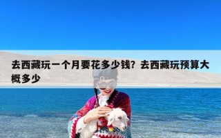去西藏玩一个月要花多少钱？去西藏玩预算大概多少