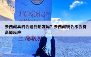 去西藏真的会遇到朋友吗？去西藏玩会不会有高原反应