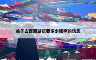 关于去西藏游玩要多少钱啊的信息