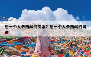 想一个人去西藏的文案？想一个人去西藏的说说