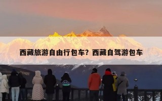西藏旅游自由行包车？西藏自驾游包车
