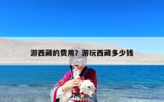 游西藏的费用？游玩西藏多少钱