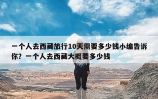 一个人去西藏旅行10天需要多少钱小编告诉你？一个人去西藏大概要多少钱