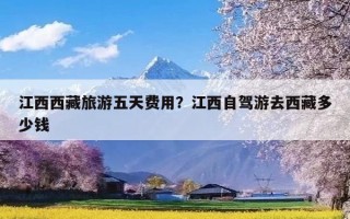 江西西藏旅游五天费用？江西自驾游去西藏多少钱