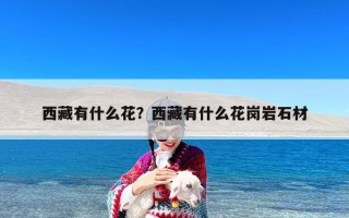 西藏有什么花？西藏有什么花岗岩石材