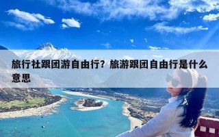 旅行社跟团游自由行？旅游跟团自由行是什么意思