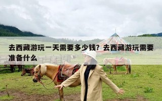 去西藏游玩一天需要多少钱？去西藏游玩需要准备什么