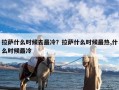 拉萨什么时候去最冷？拉萨什么时候最热,什么时候最冷