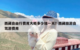 西藏自由行费用大概多少钱一天？西藏旅游自驾游费用