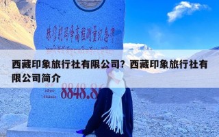 西藏印象旅行社有限公司？西藏印象旅行社有限公司简介
