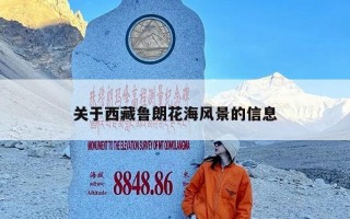 关于西藏鲁朗花海风景的信息