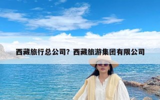 西藏旅行总公司？西藏旅游集团有限公司