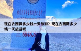 现在去西藏多少钱一天旅游？现在去西藏多少钱一天旅游呢