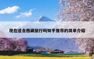 现在适合西藏旅行吗知乎推荐的简单介绍