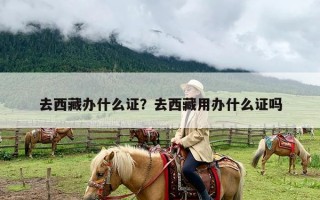 去西藏办什么证？去西藏用办什么证吗