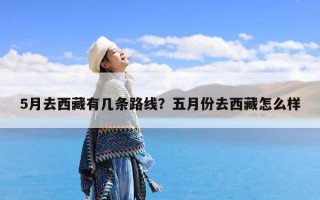 5月去西藏有几条路线？五月份去西藏怎么样