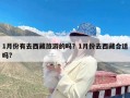 1月份有去西藏旅游的吗？1月份去西藏合适吗?