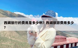 西藏旅行的费用是多少啊？西藏旅游费用多少?