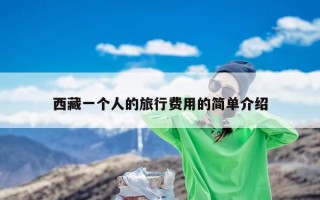 西藏一个人的旅行费用的简单介绍