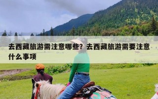 去西藏旅游需注意哪些？去西藏旅游需要注意什么事项