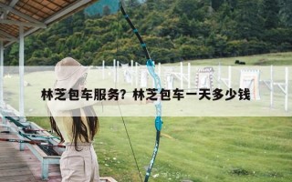 林芝包车服务？林芝包车一天多少钱