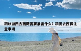 跟旅游团去西藏需要准备什么？跟团去西藏注意事项