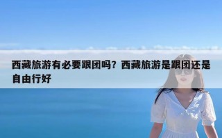 西藏旅游有必要跟团吗？西藏旅游是跟团还是自由行好