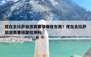 现在去拉萨旅游需要带哪些东西？现在去拉萨旅游需要核酸检测吗