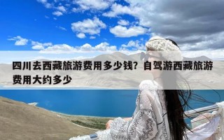 四川去西藏旅游费用多少钱？自驾游西藏旅游费用大约多少