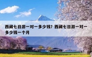 西藏七日游一对一多少钱？西藏七日游一对一多少钱一个月