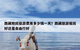 西藏抱团旅游费用多少钱一天？西藏旅游报团好还是自由行好
