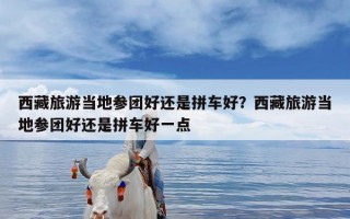 西藏旅游当地参团好还是拼车好？西藏旅游当地参团好还是拼车好一点