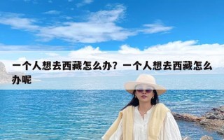 一个人想去西藏怎么办？一个人想去西藏怎么办呢