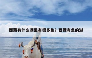 西藏有什么湖里有很多鱼？西藏有鱼的湖