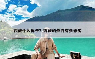 西藏什么样子？西藏的条件有多恶劣