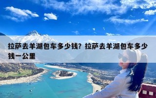 拉萨去羊湖包车多少钱？拉萨去羊湖包车多少钱一公里